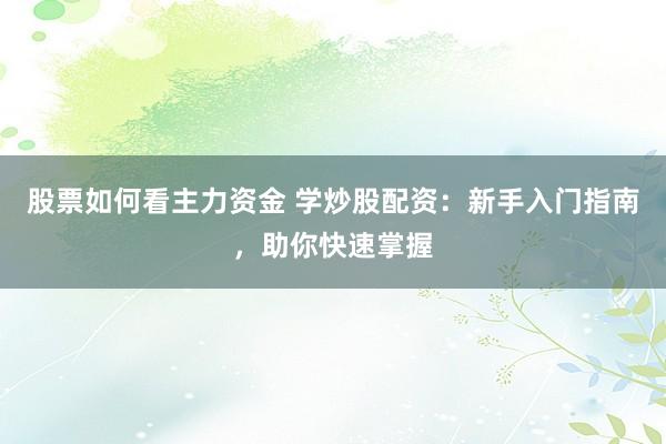 股票如何看主力资金 学炒股配资：新手入门指南，助你快速掌握
